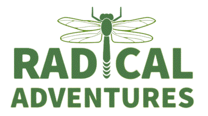 Radical Adventures New England