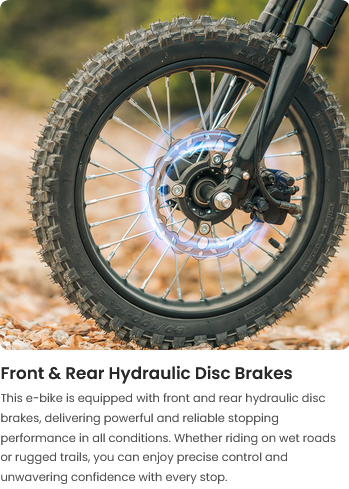Windone RS5 E-Dirt Bike