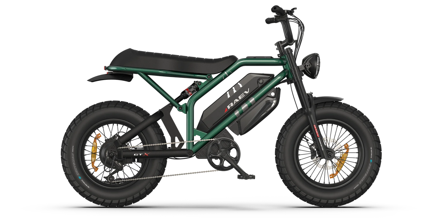 RAEV Bullet GTX E-Bike