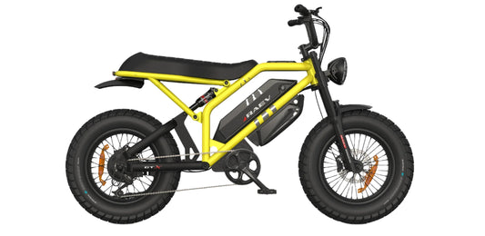 RAEV Bullet GTX E-Bike
