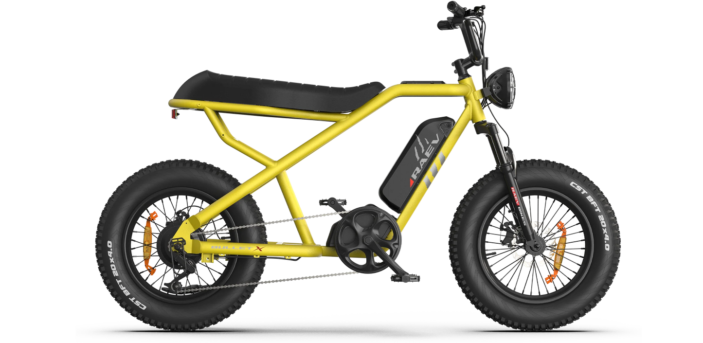 RAEV Bullet X E-Bike