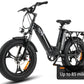 HAOQI Antelope 500W Cargo Electric Bike (UL Certified) [electric bike] [HAOQI ebike]