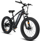 HAOQI Black Leopard Pro 48V 20Ah Fat Tire Electric Bike [electric bike] [HAOQI ebike]