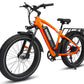 HAOQI Black Leopard Pro 48V 20Ah Fat Tire Electric Bike [electric bike] [HAOQI ebike]