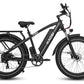 HAOQI Black Leopard Pro 48V 20Ah Fat Tire Electric Bike [electric bike] [HAOQI ebike]