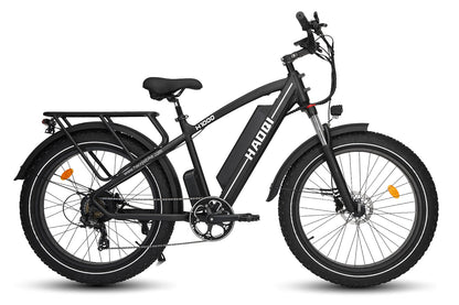 HAOQI Black Leopard Pro 48V 20Ah Fat Tire Electric Bike [electric bike] [HAOQI ebike]