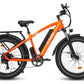 HAOQI Black Leopard Pro 48V 20Ah Fat Tire Electric Bike [electric bike] [HAOQI ebike]