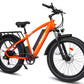 HAOQI Black Leopard Pro 48V 20Ah Fat Tire Electric Bike [electric bike] [HAOQI ebike]