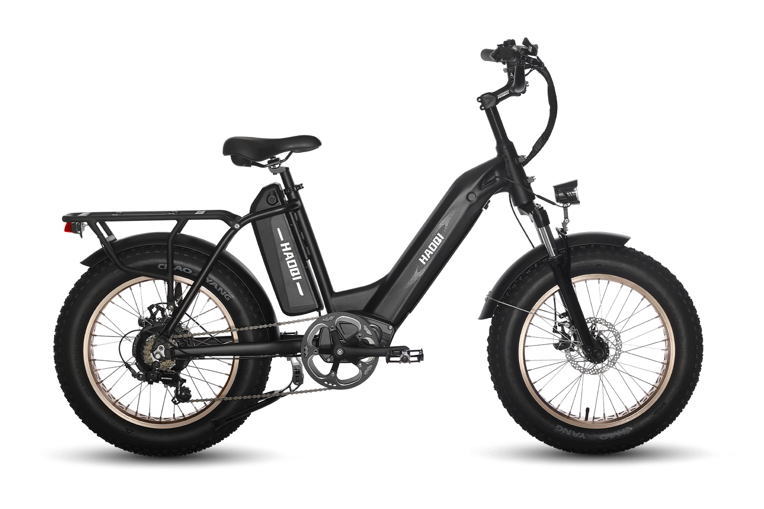 HAOQI Antelope Pro 750W 25Ah Cargo Electric Bike