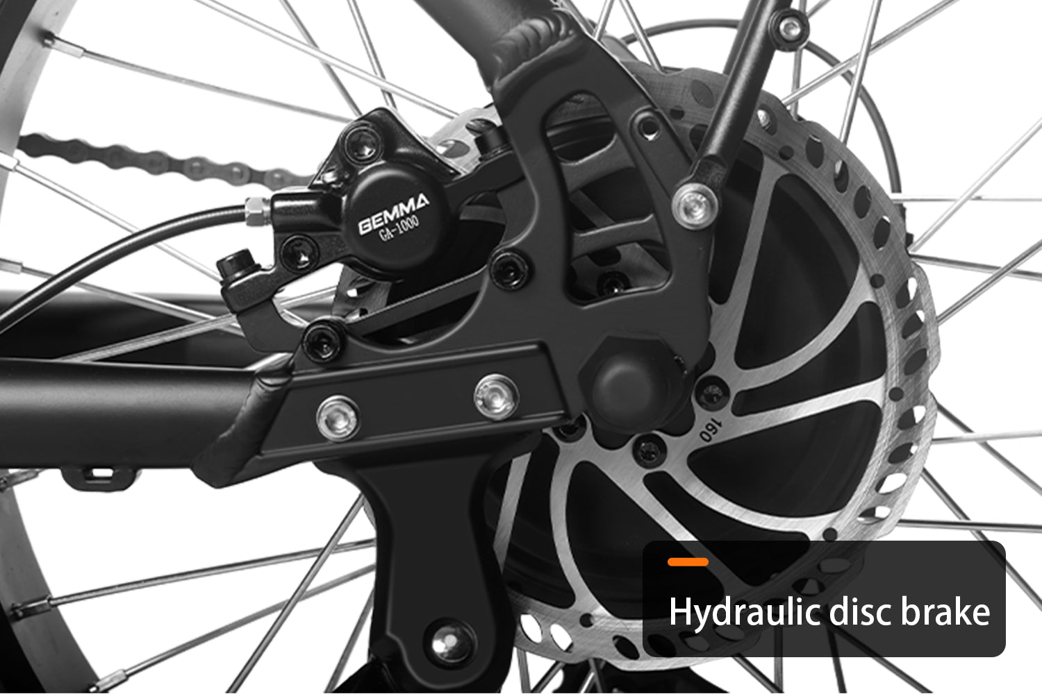 HAOQI Rhino 52V 1000W Electric Cafe Racer – Radical Adventures New