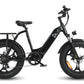 HAOQI Antelope 500W Cargo Electric Bike