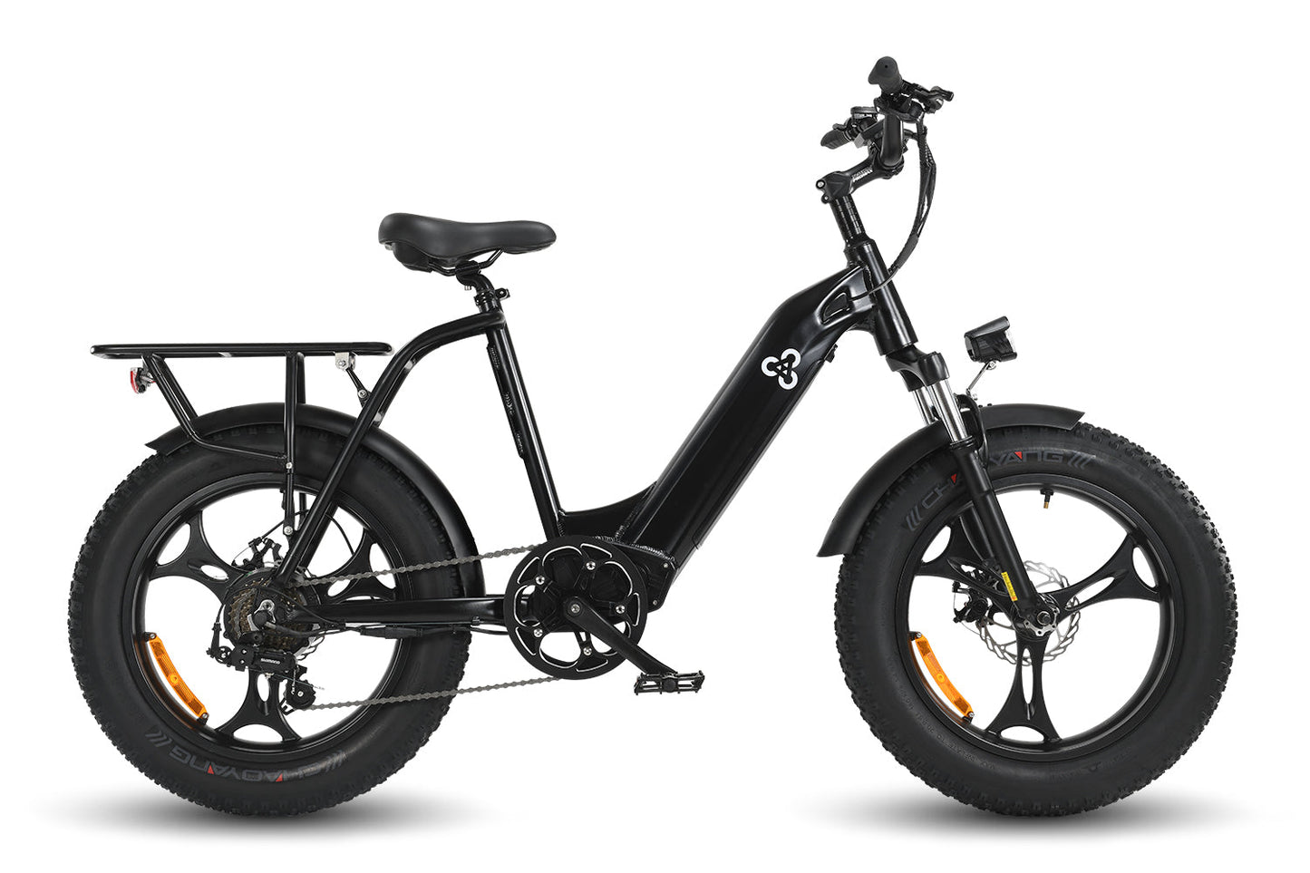 HAOQI Antelope 500W Cargo Electric Bike