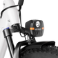 Heybike Alpha All-Terrain