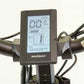 EG Bike Venice 750FX 2023- monitor
