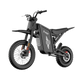 Freego X0 mini bike