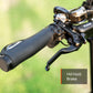 Mokwheel Granite E-Trike