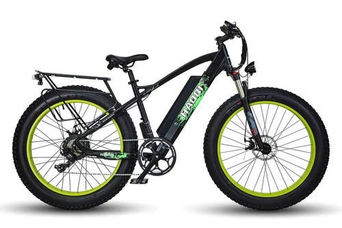 HAOQI Leopard Pro 48V 20Ah Fat Tire Electric Bike