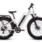 HAOQI Leopard Pro 48V 20Ah Fat Tire Electric Bike