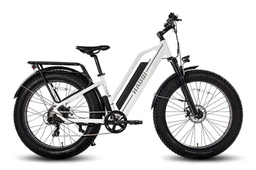 HAOQI Leopard Pro 48V 20Ah Fat Tire Electric Bike