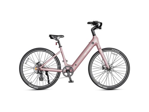 Heybike Venus