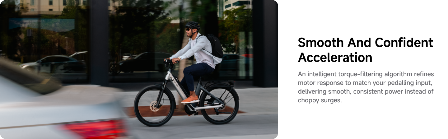 Segway Myon