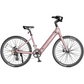 Heybike Venus