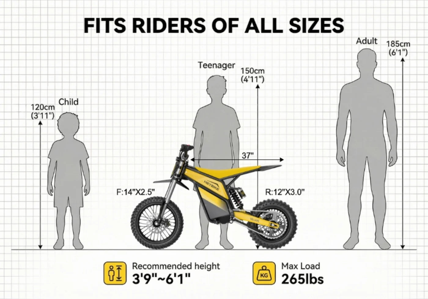 Heybike Villain Electric Dirt Bike