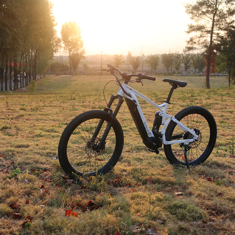 Frey Evolve Mountain Bike