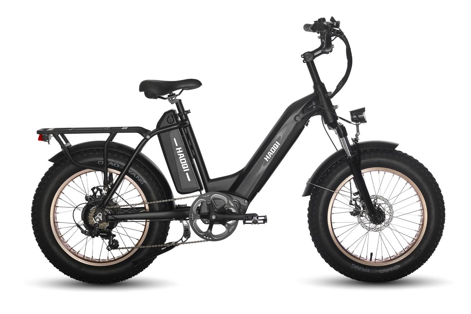 HAOQI Antelope Pro 750W 25Ah Cargo Electric Bike