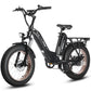 HAOQI Antelope Pro 750W 25Ah Cargo Electric Bike [electric bike] [HAOQI ebike]