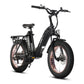 HAOQI Antelope Pro 750W 25Ah Cargo Electric Bike [electric bike] [HAOQI ebike]