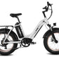 HAOQI Antelope Pro 750W 25Ah Cargo Electric Bike [electric bike] [HAOQI ebike]