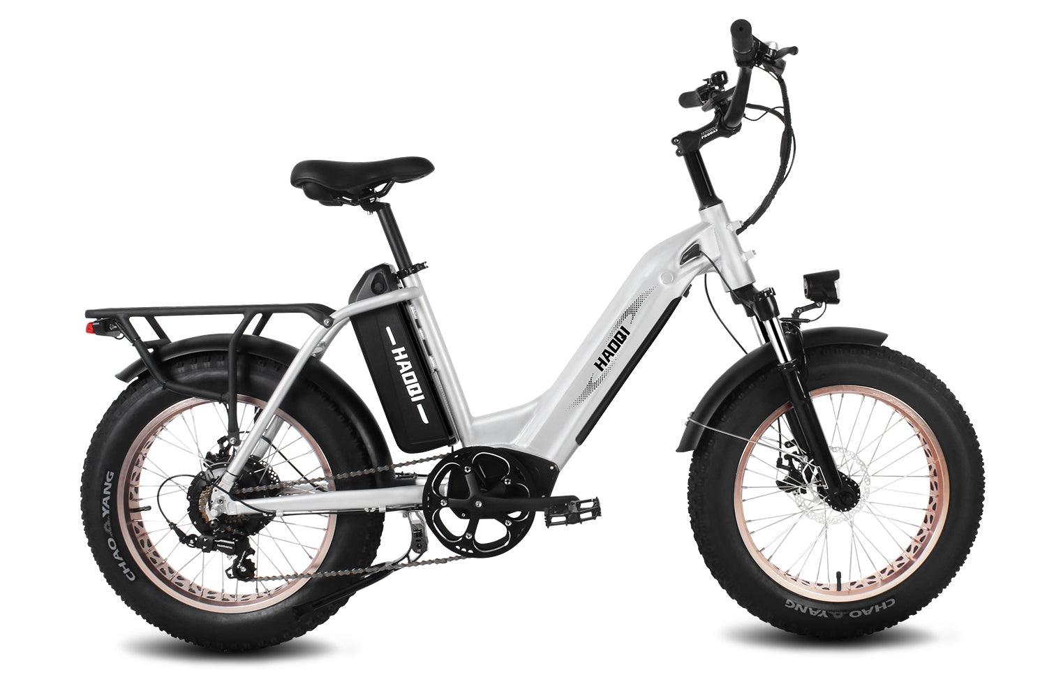 HAOQI Antelope Pro 750W 25Ah Cargo Electric Bike [electric bike] [HAOQI ebike]