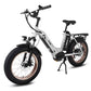 HAOQI Antelope Pro 750W 25Ah Cargo Electric Bike [electric bike] [HAOQI ebike]