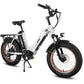 HAOQI Antelope Pro 750W 25Ah Cargo Electric Bike [electric bike] [HAOQI ebike]