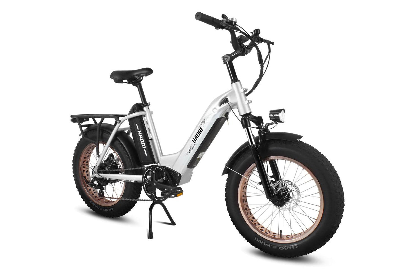 HAOQI Antelope Pro 750W 25Ah Cargo Electric Bike [electric bike] [HAOQI ebike]