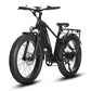 Eagle Long Range Ebike [electric bike] [HAOQI ebike]