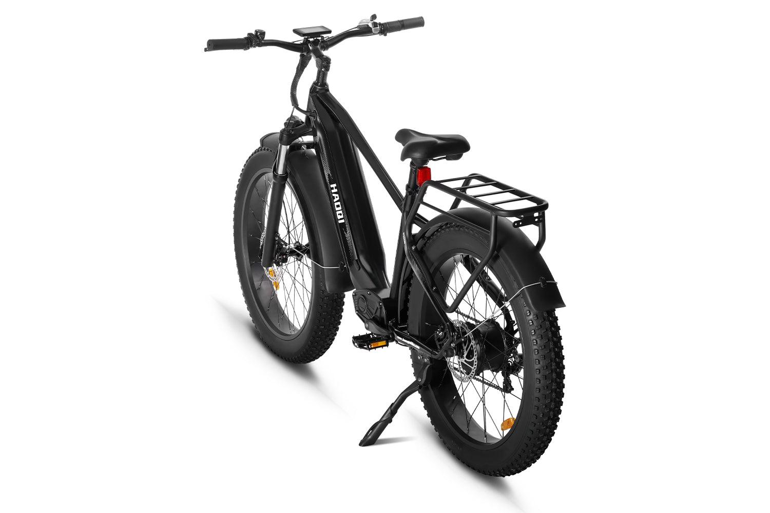 Eagle Long Range Ebike Eagle Long Range Ebike
