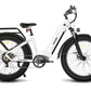 Eagle Long Range Ebike [electric bike] [HAOQI ebike]