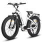 Eagle Long Range Ebike [electric bike] [HAOQI ebike]