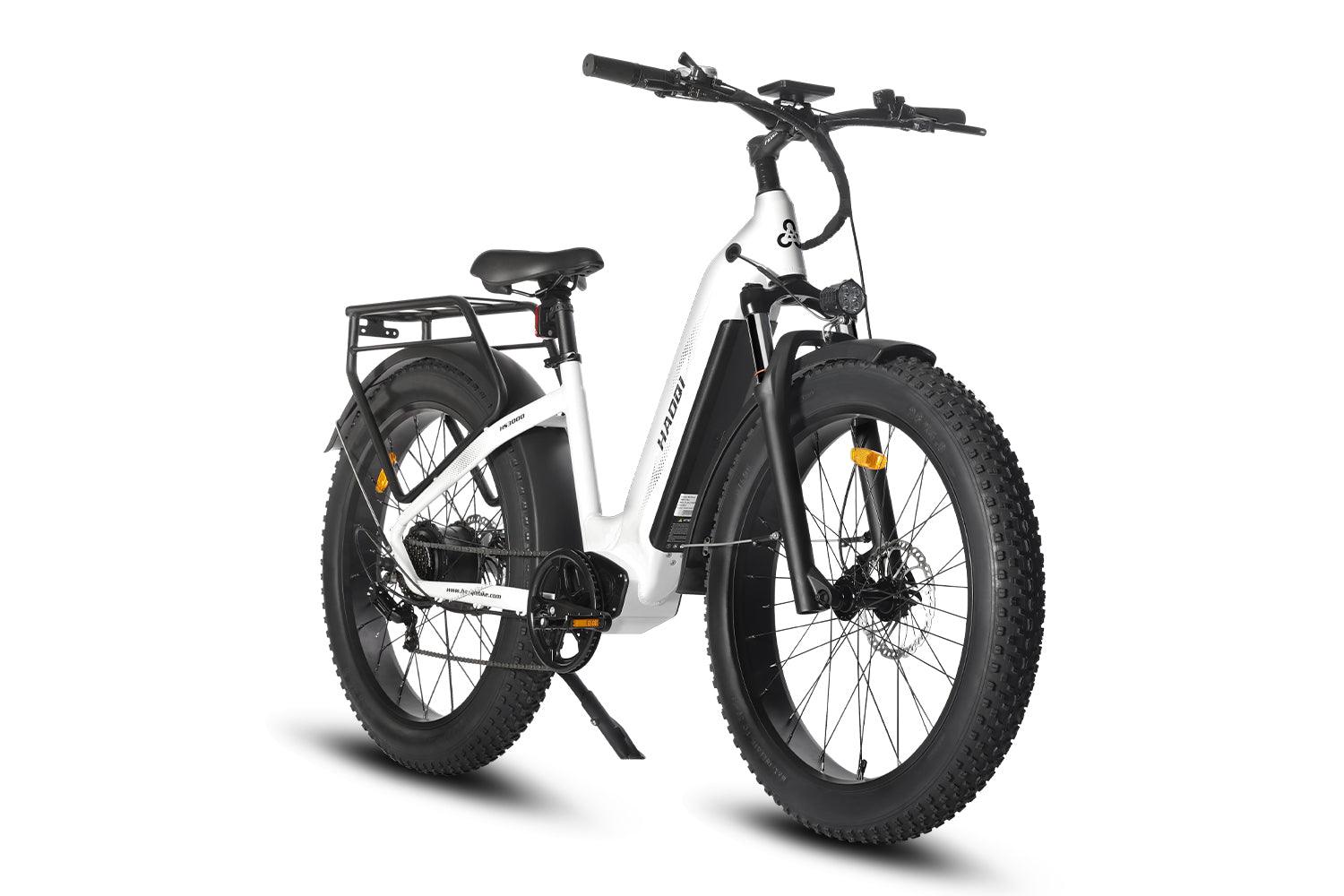 Eagle Long Range Ebike Eagle Long Range Ebike