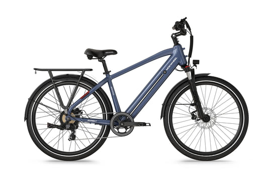 Mokwheel Asphalt E-Bike