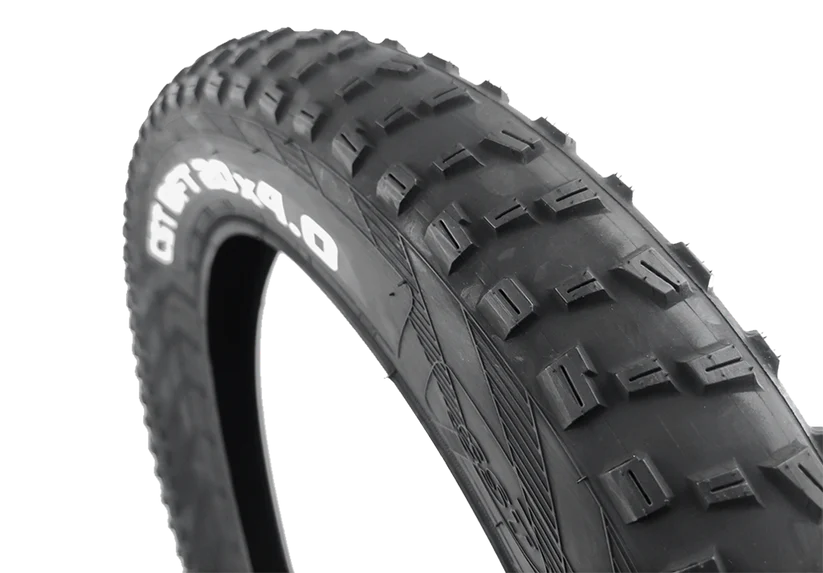 Raev BFT Cst 20*4 Fat Tire