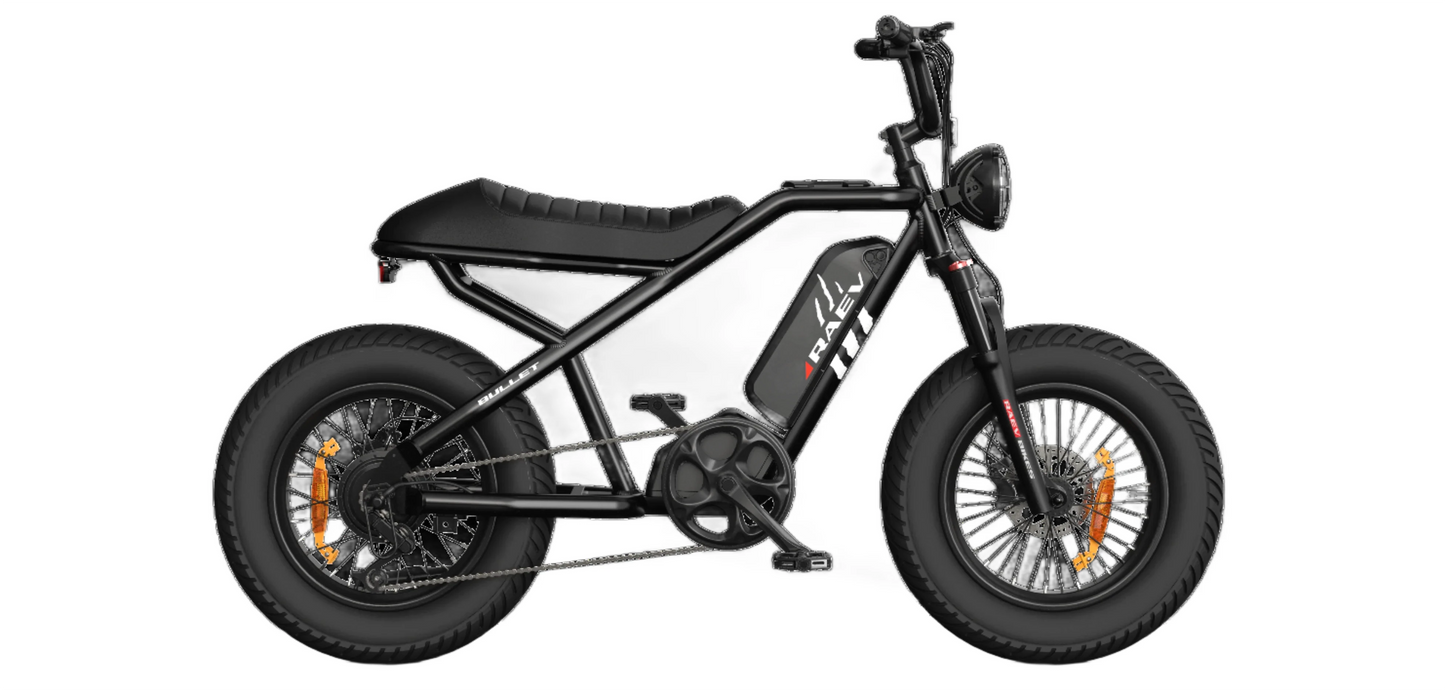 RAEV Bullet V2 E-Bike