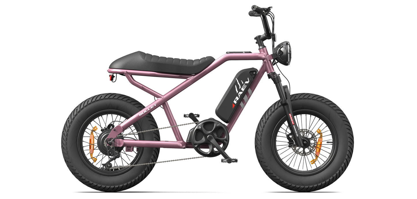 RAEV Bullet V2 E-Bike