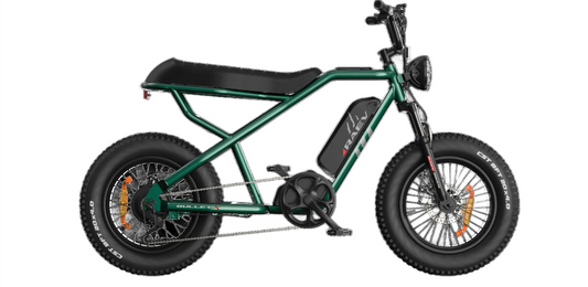 RAEV Bullet X V2 E-Bike